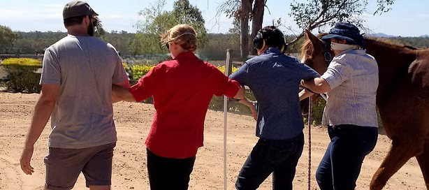 A team linked arm in arm leading a horse during a STRIDE equine assisted learning program